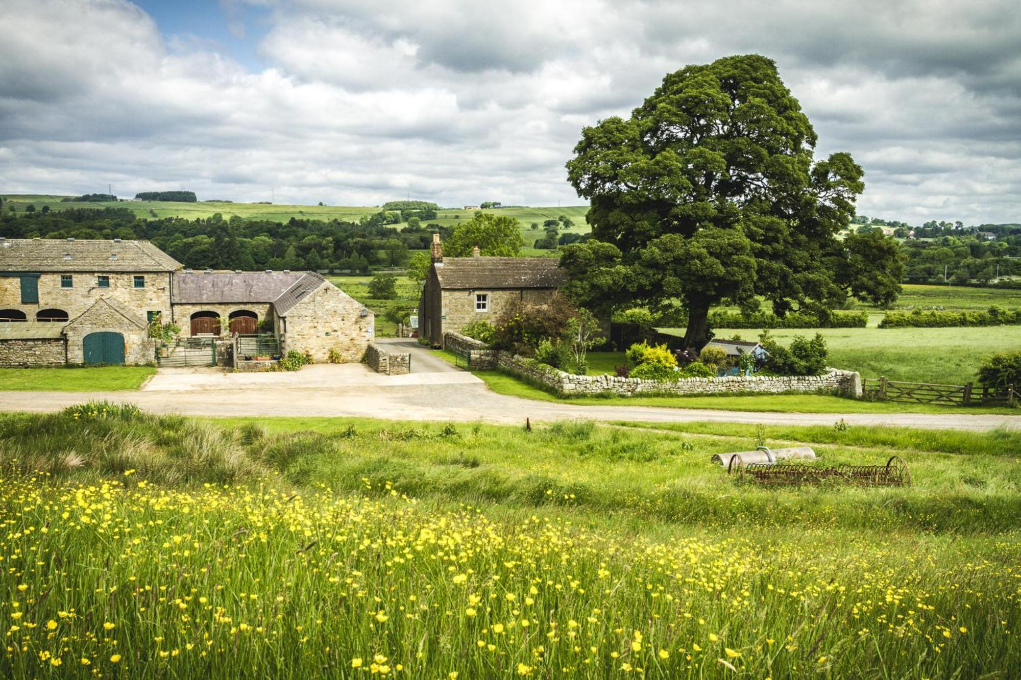 ไวดอน ฟาร์ม บีแอนด์บี Bed & Breakfast ฮอลท์วิสเซิล ภายนอก รูปภาพ